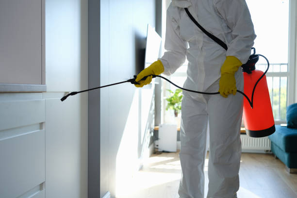 Best Mold Remediation Services  in Makawao, HI